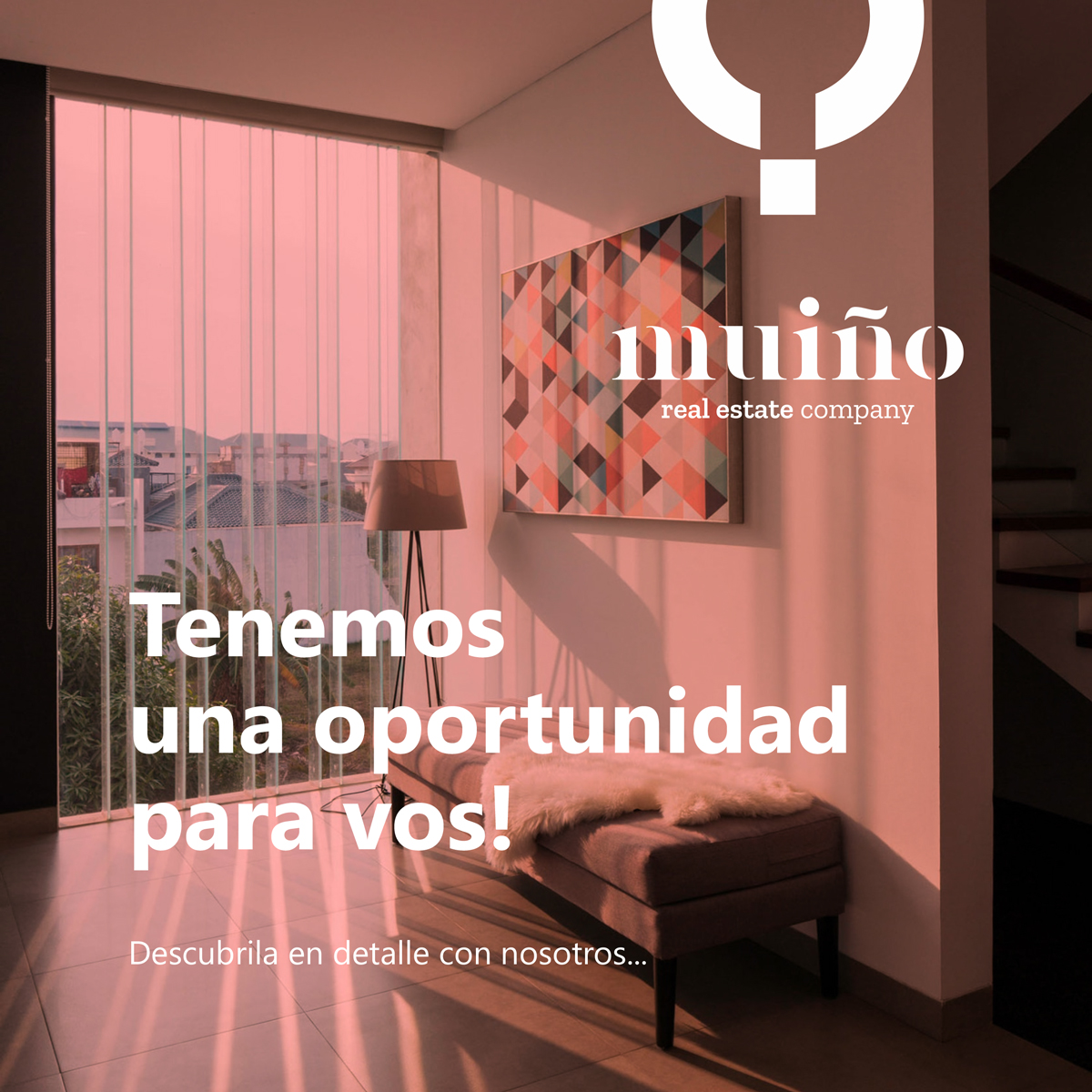 Estructura para publicaciones feed de productos para Muiño real estate company.