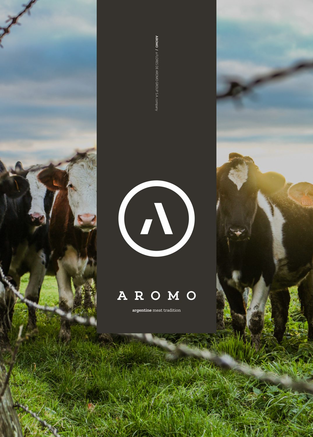 branding para AROMO by UMM ideas SA